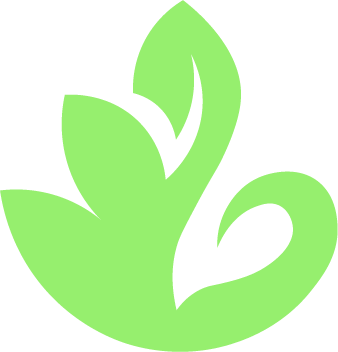 SummaStandard_Icon